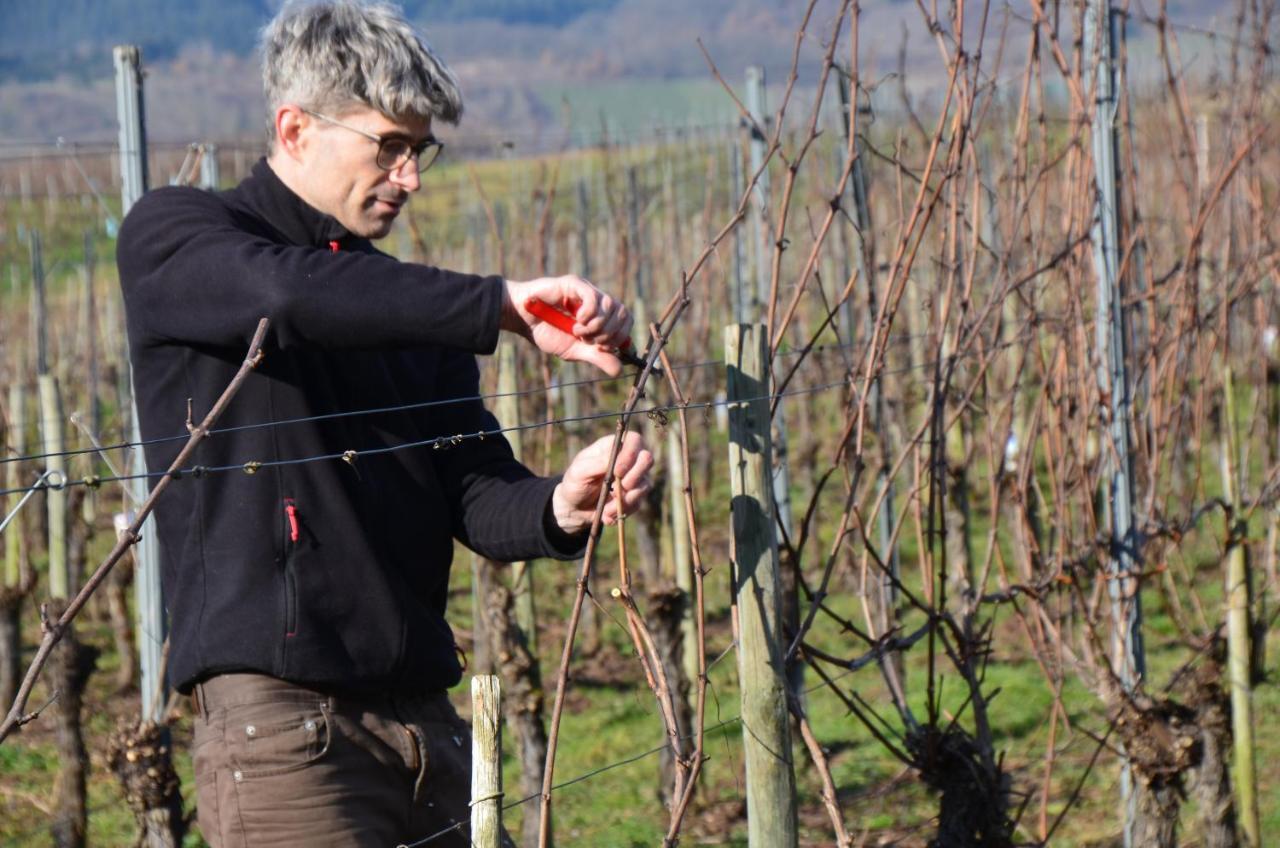 Weingut Erbes-Henn Hotel Uerzig Ngoại thất bức ảnh